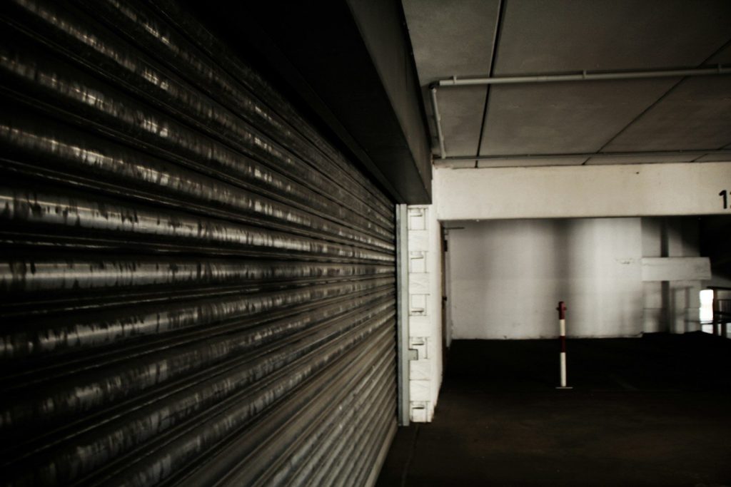 Garage Door Motors